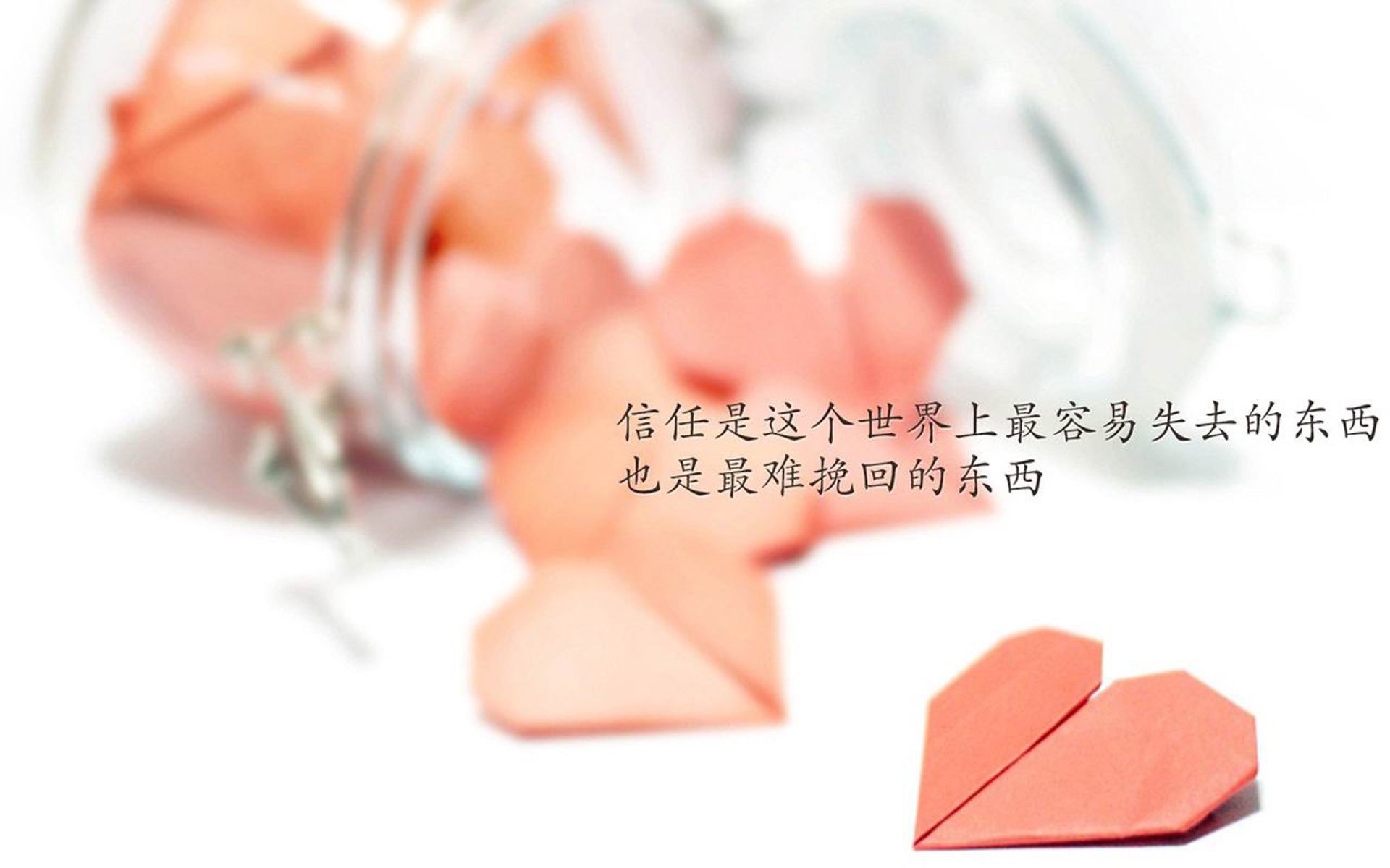 红遍大江南北：足球世界瞩目亚洲赛场，亚洲地区足球比赛