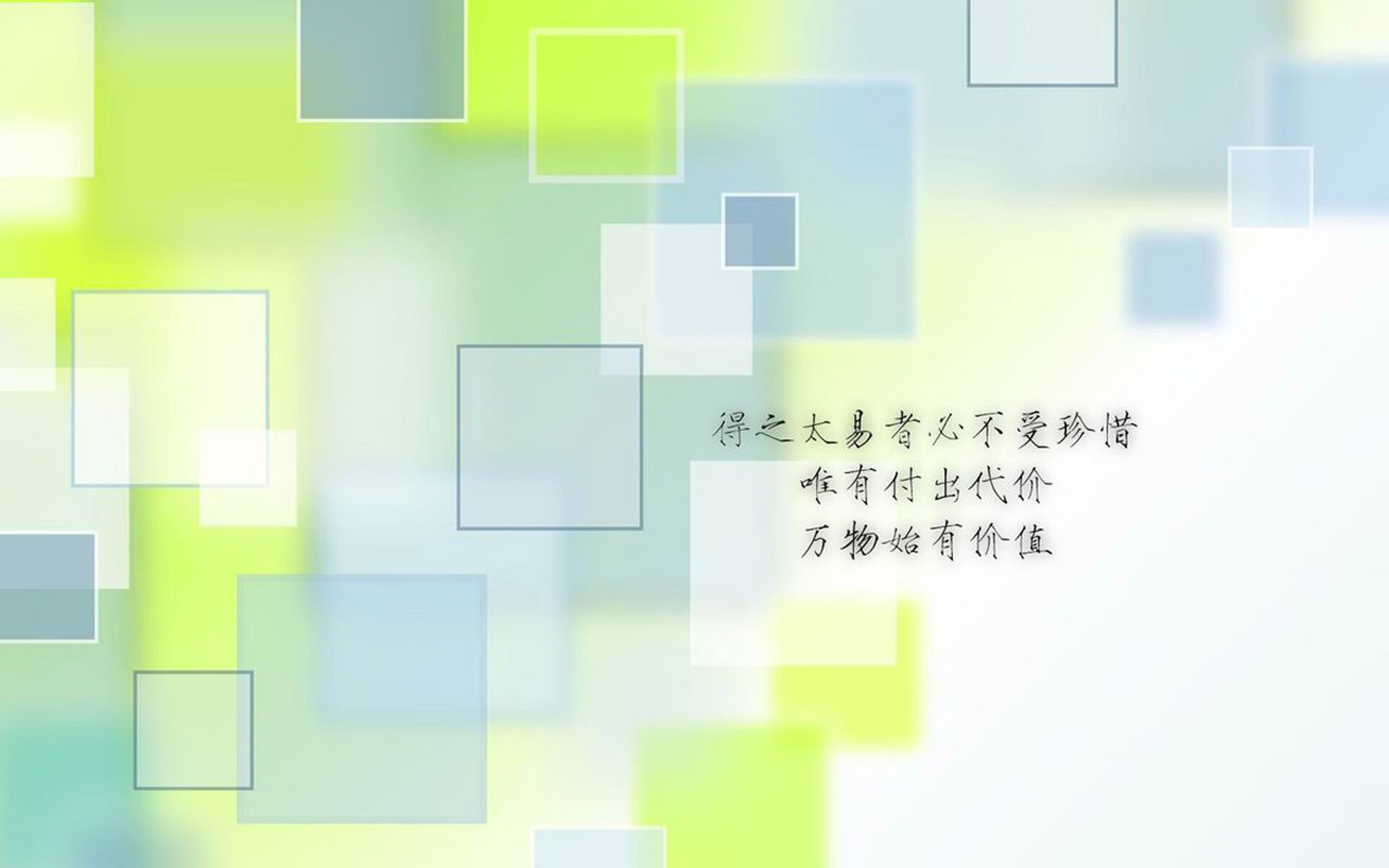 美洲赛区新星迅速崛起，美洲赛场