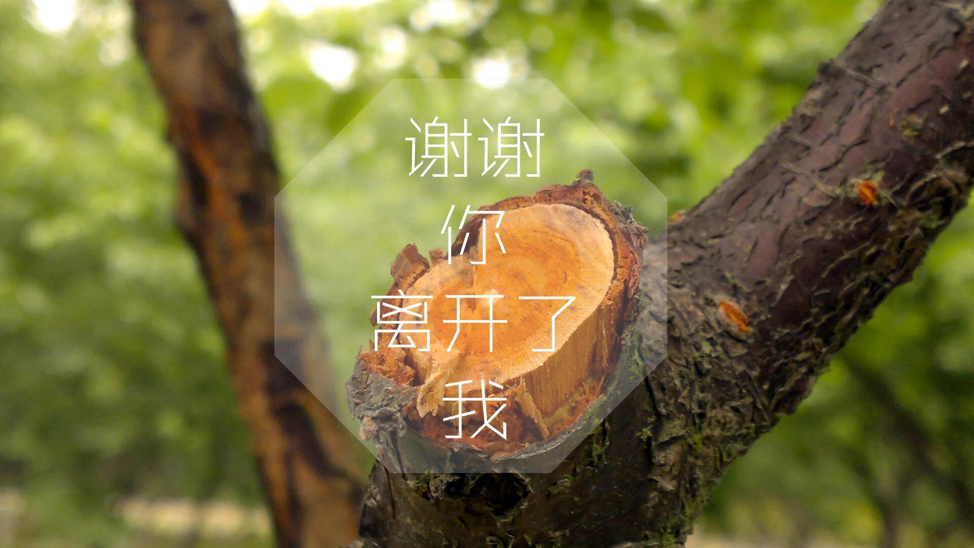 kaiyun开云·官方网站-中国足球年度高强度对抗回合汇总，中国足球队胜负