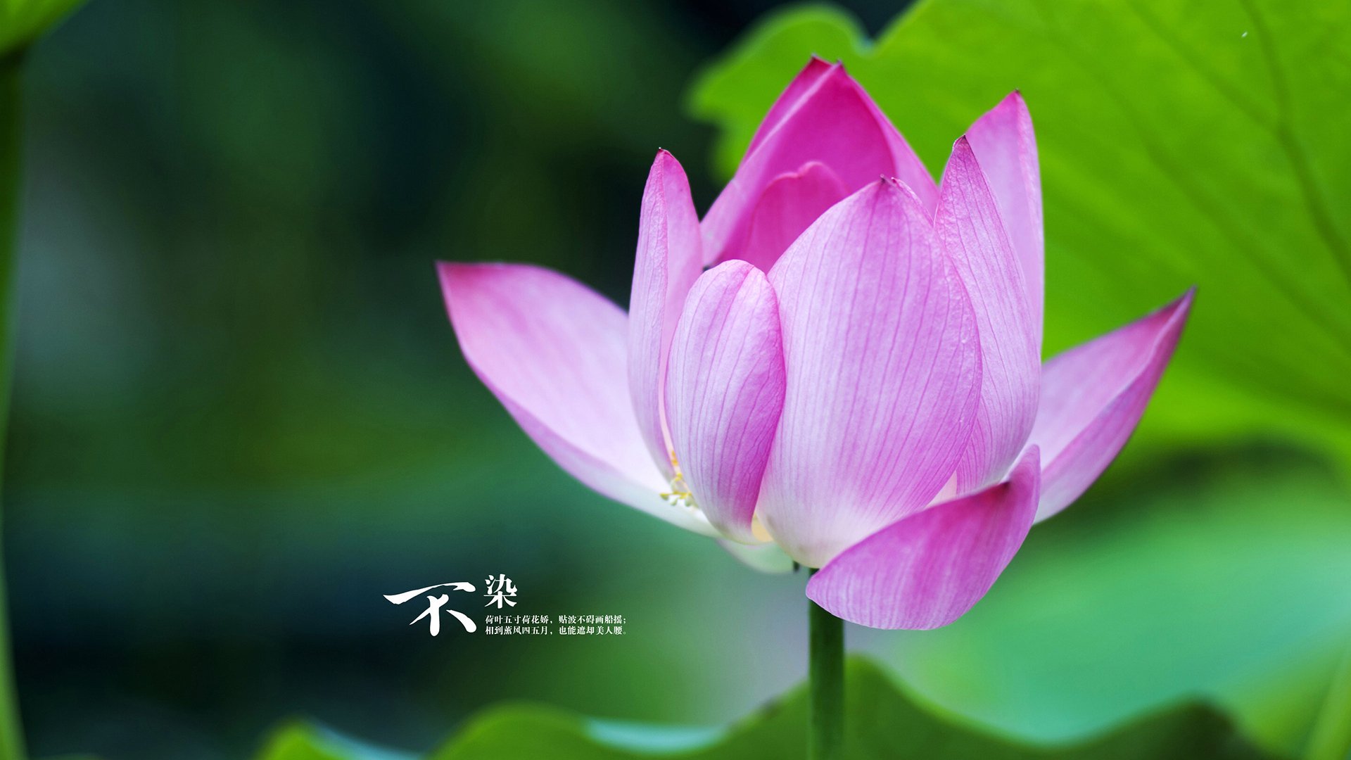 篮球专项技能动作捕捉技术研发，篮球技能动作简略说明