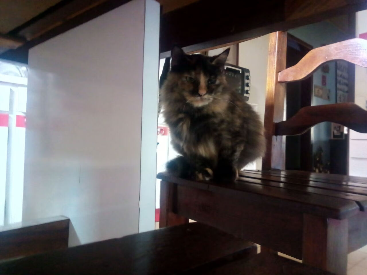 法甲联赛观众行为变化与营销策略调整，法甲参赛球队