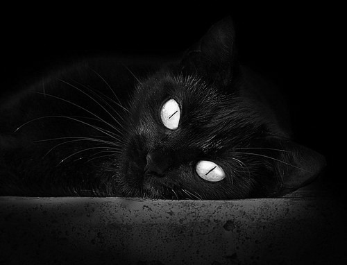 高校体育场馆运营效率提升策略，高校体育场馆如何运营和管理