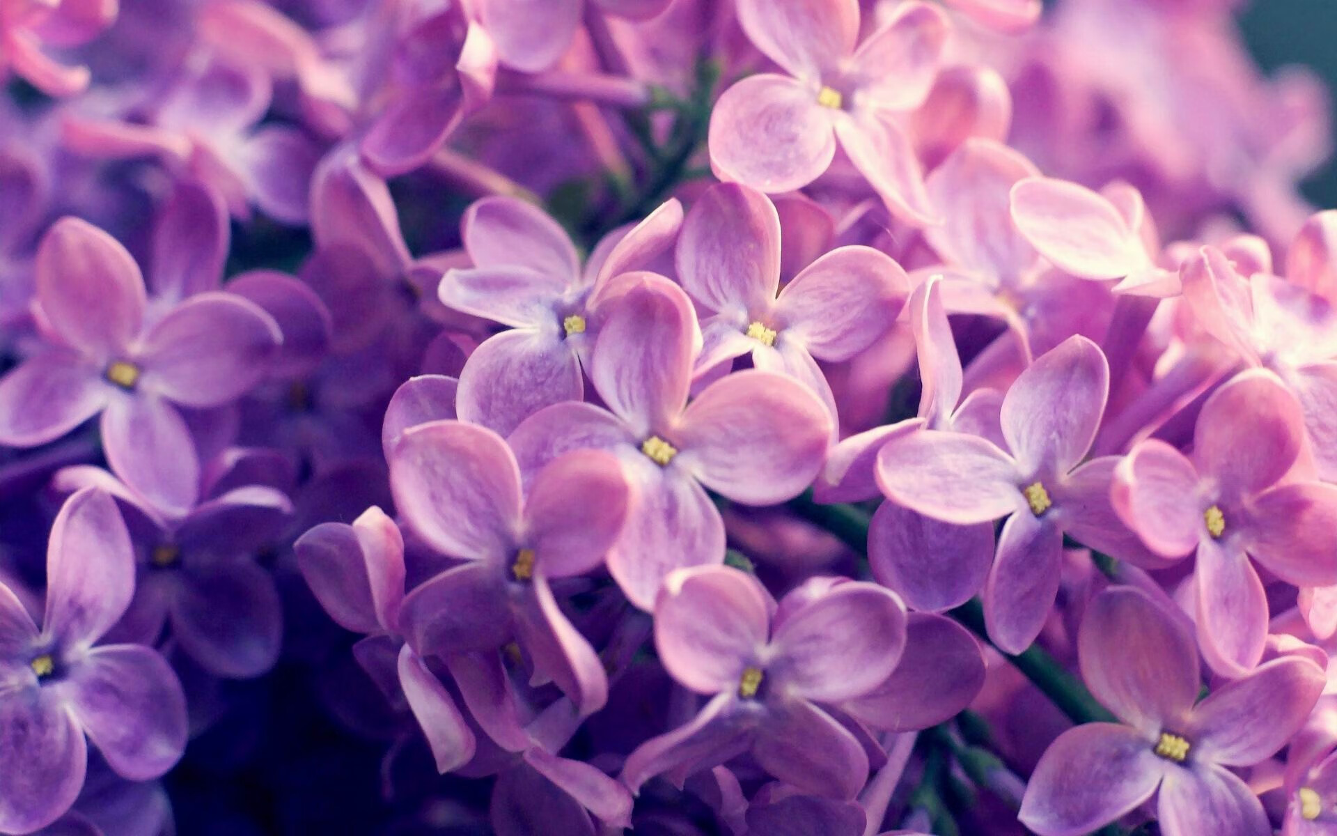 Chinese Taipei团队：未来在国际赛事中的崛起之路，china's team