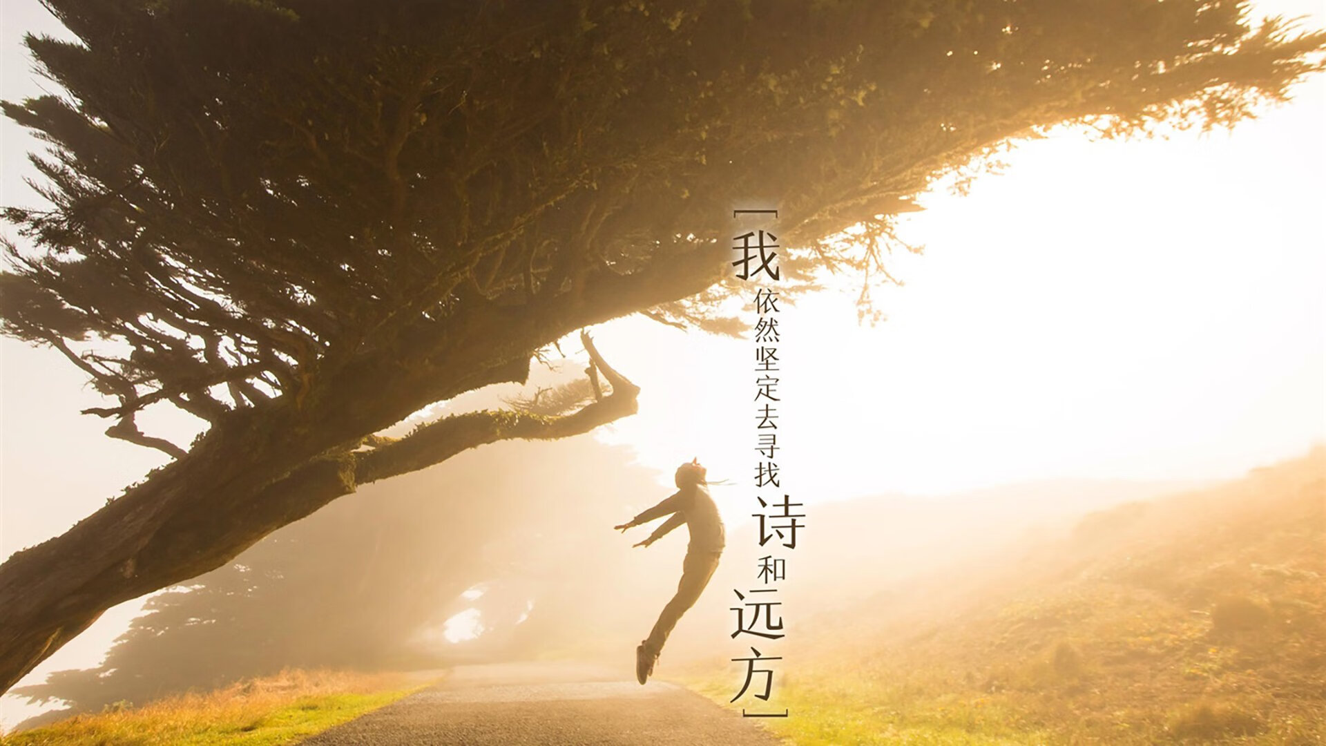 波尔宣布退役，德国乒坛的一代传奇告别，德国乒乓球队员波尔岁数多大了