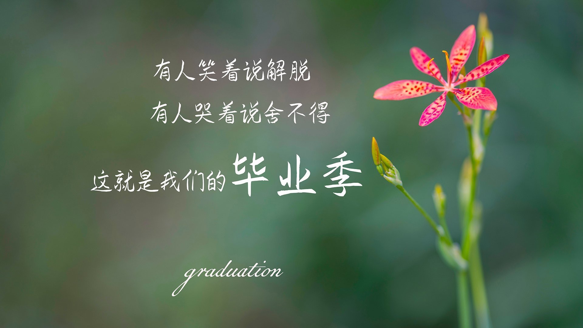 开云体育-字母哥篮板抢夺积极展现统治力，字母哥篮板能力