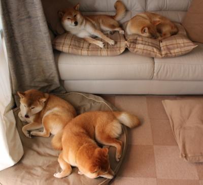 意甲冠军摇摆:最精彩的逆转剧!