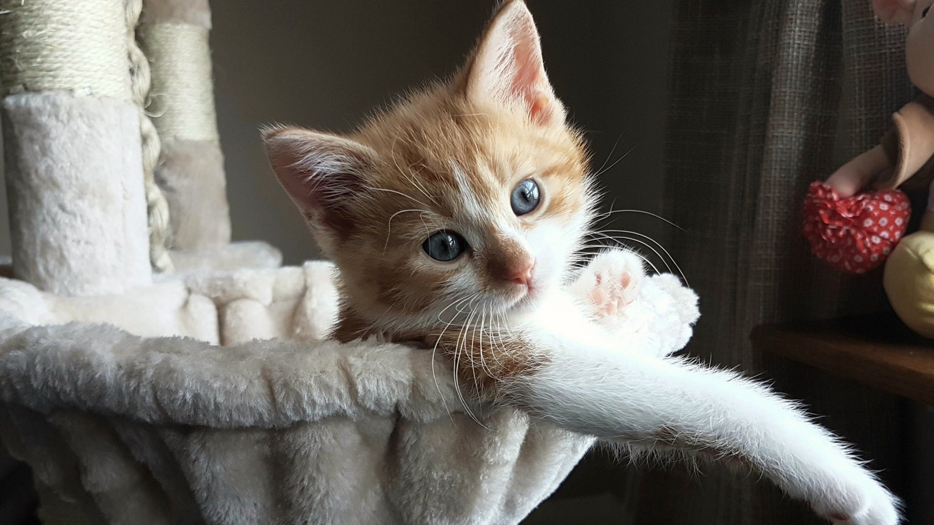 斯洛伐克男篮在欧洲大赛中勇敢追梦，锐意前行，斯洛伐克队欧洲杯大名单