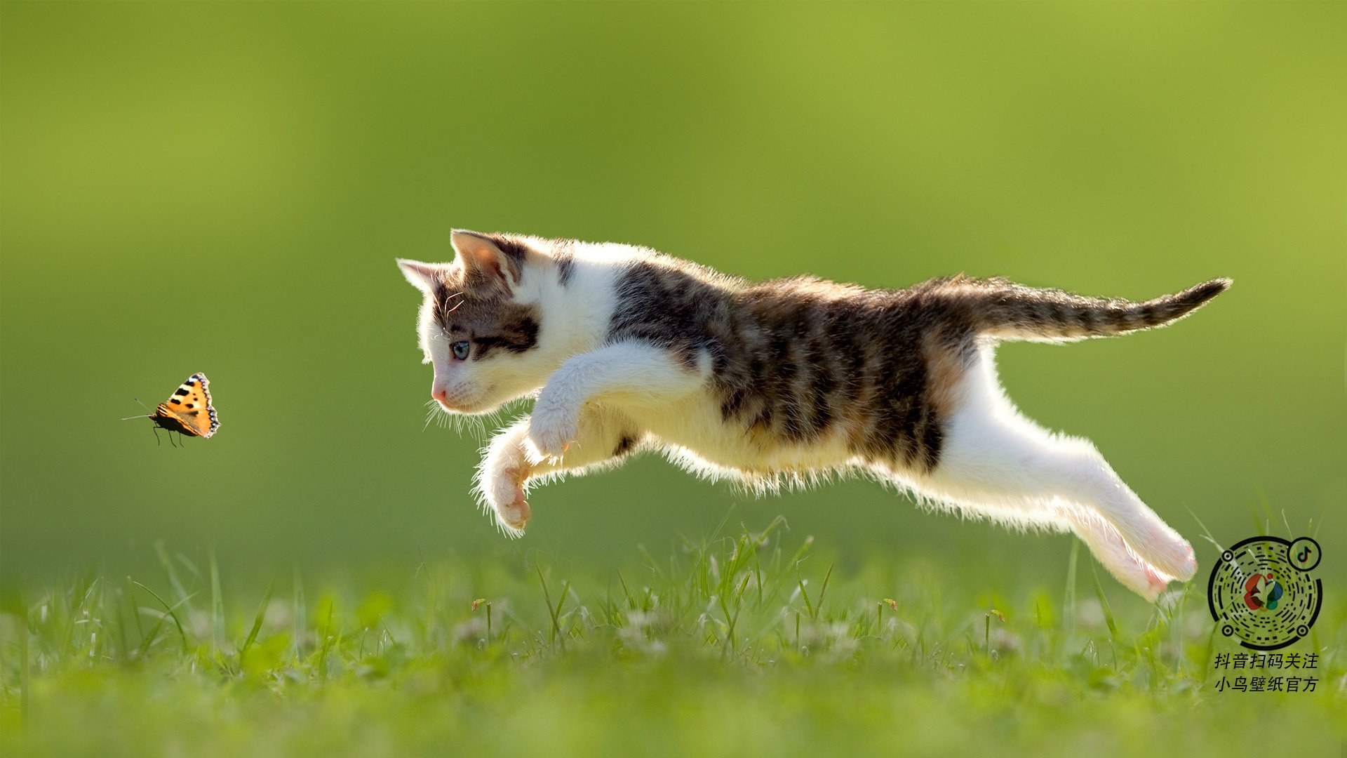 赫梅列夫斯基冲刺阶段表现抢眼,赫梅利诺夫