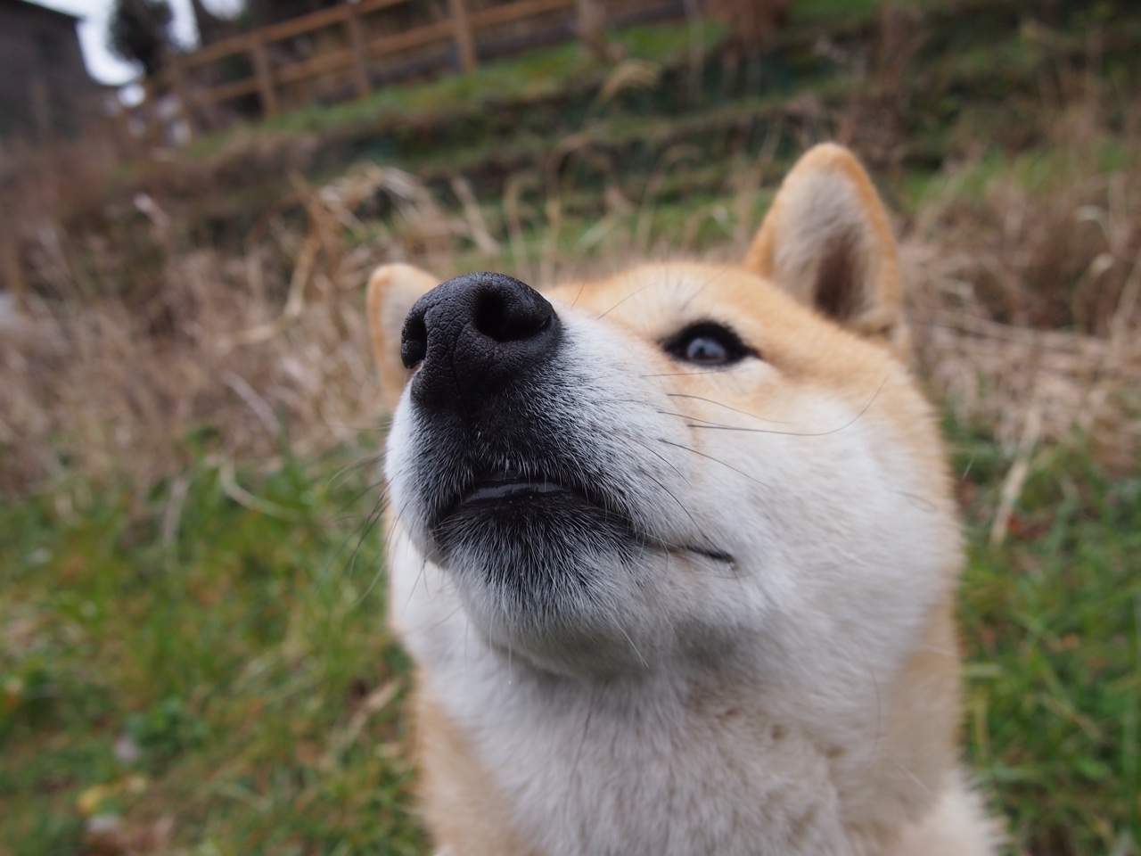 青训项目扩展至北部地区，青训项目扩展至北部地区的措施