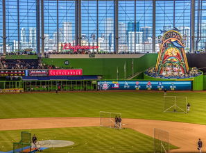 开云体育官网下载-国足核心战术执行人员稳定性研究，中国足球队战术