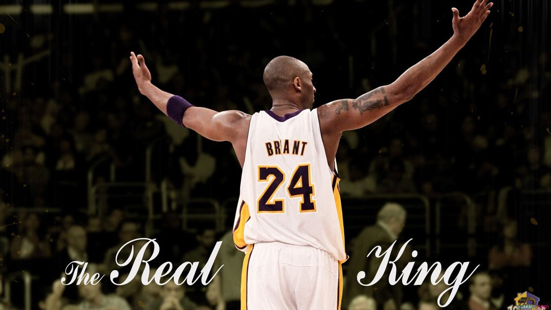 CBA青年联赛人才辈出 各队积极招揽，cba青年队选拔